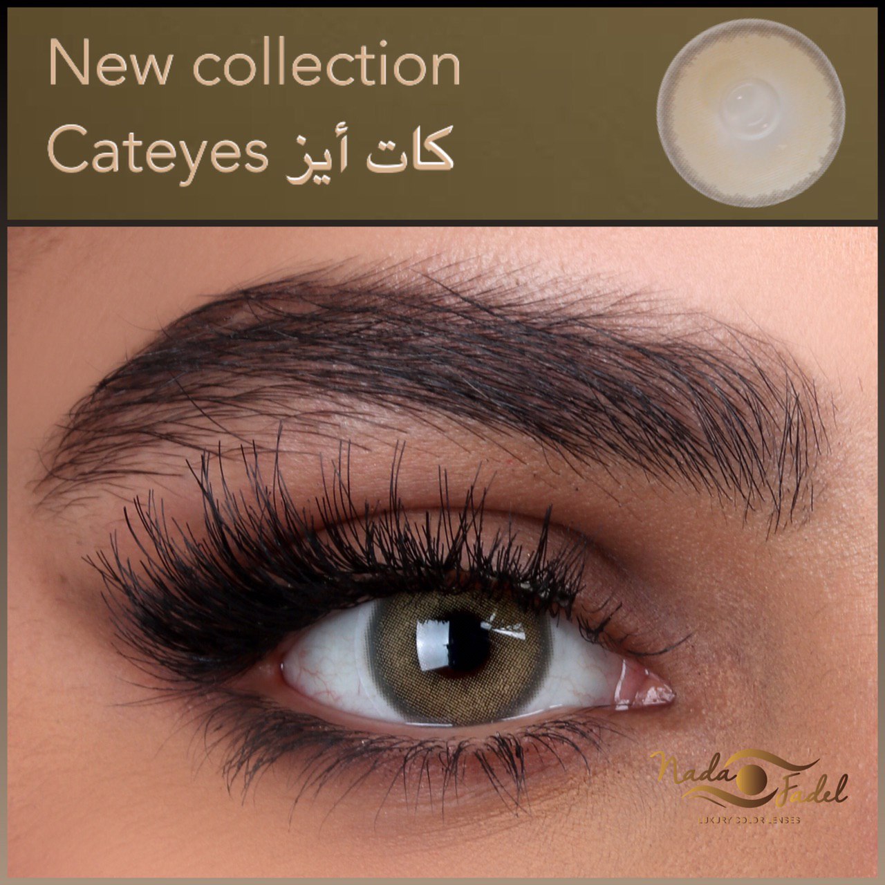 Nada Fedal lenses - Cateyes lens - Online Contact lenses  - Luxury lenses