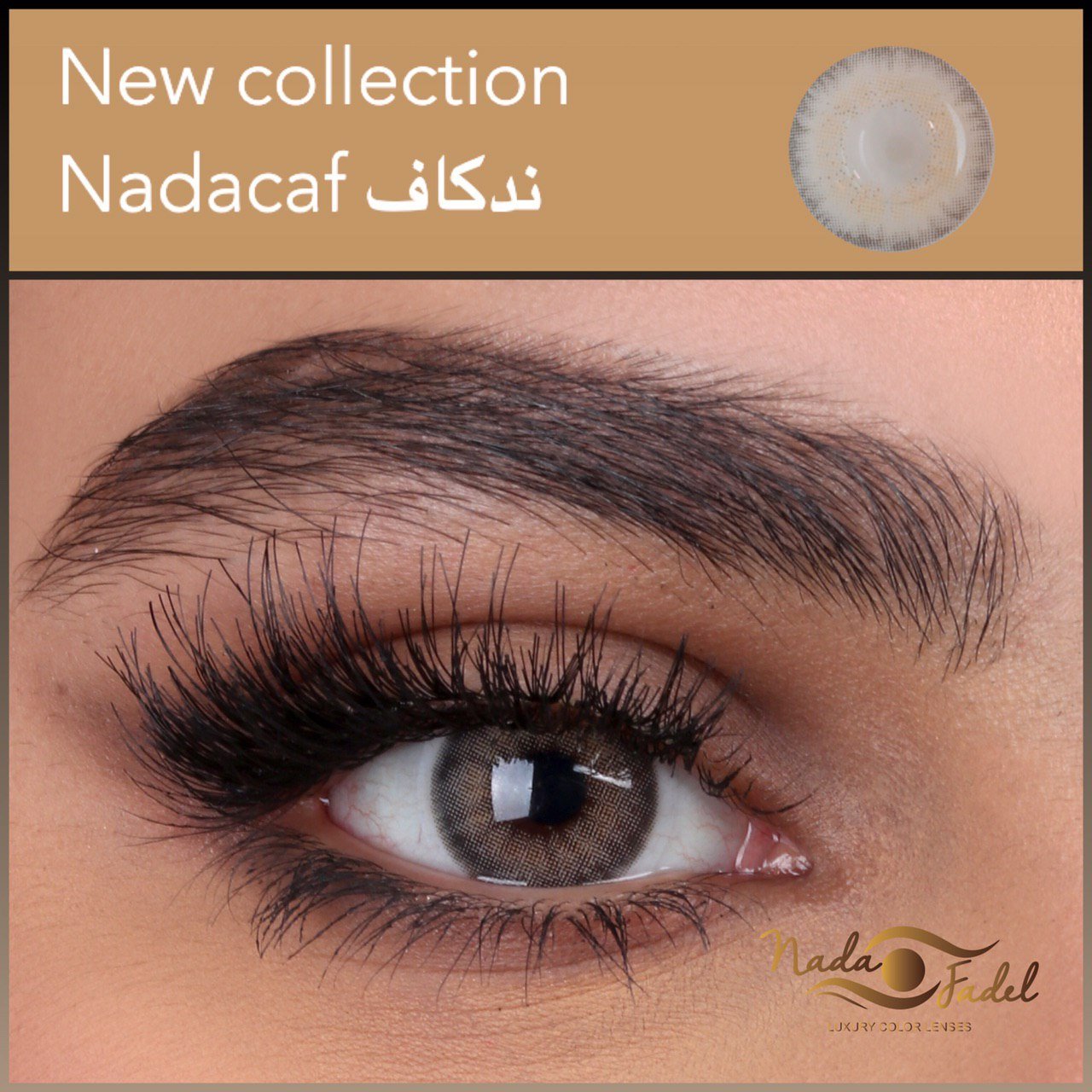 Nada Fedal lenses -Nadacaf lens - Online contact lenses | Nada lenses