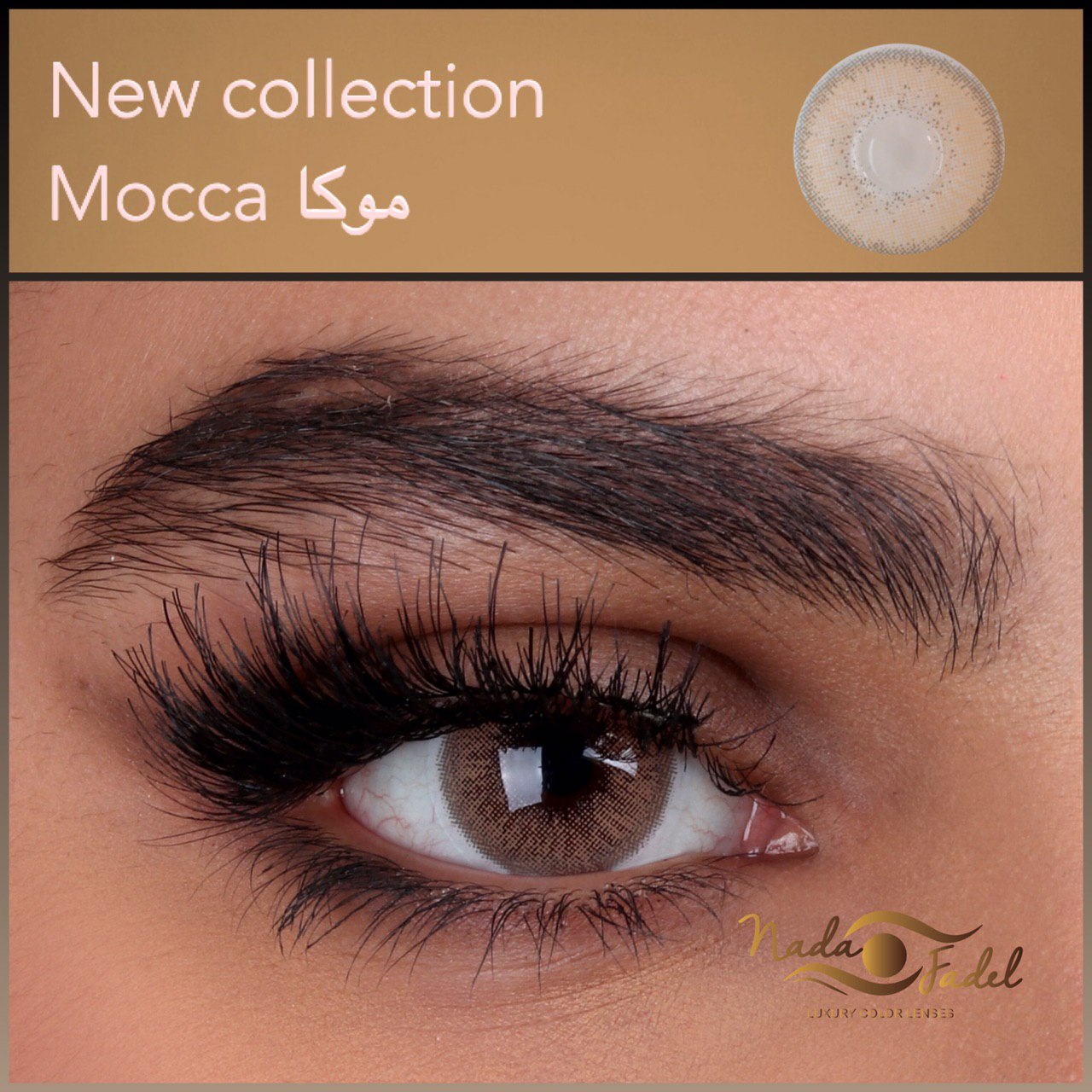 Nada Fedal lenses - Mocha lens - Online Contact lenses  store