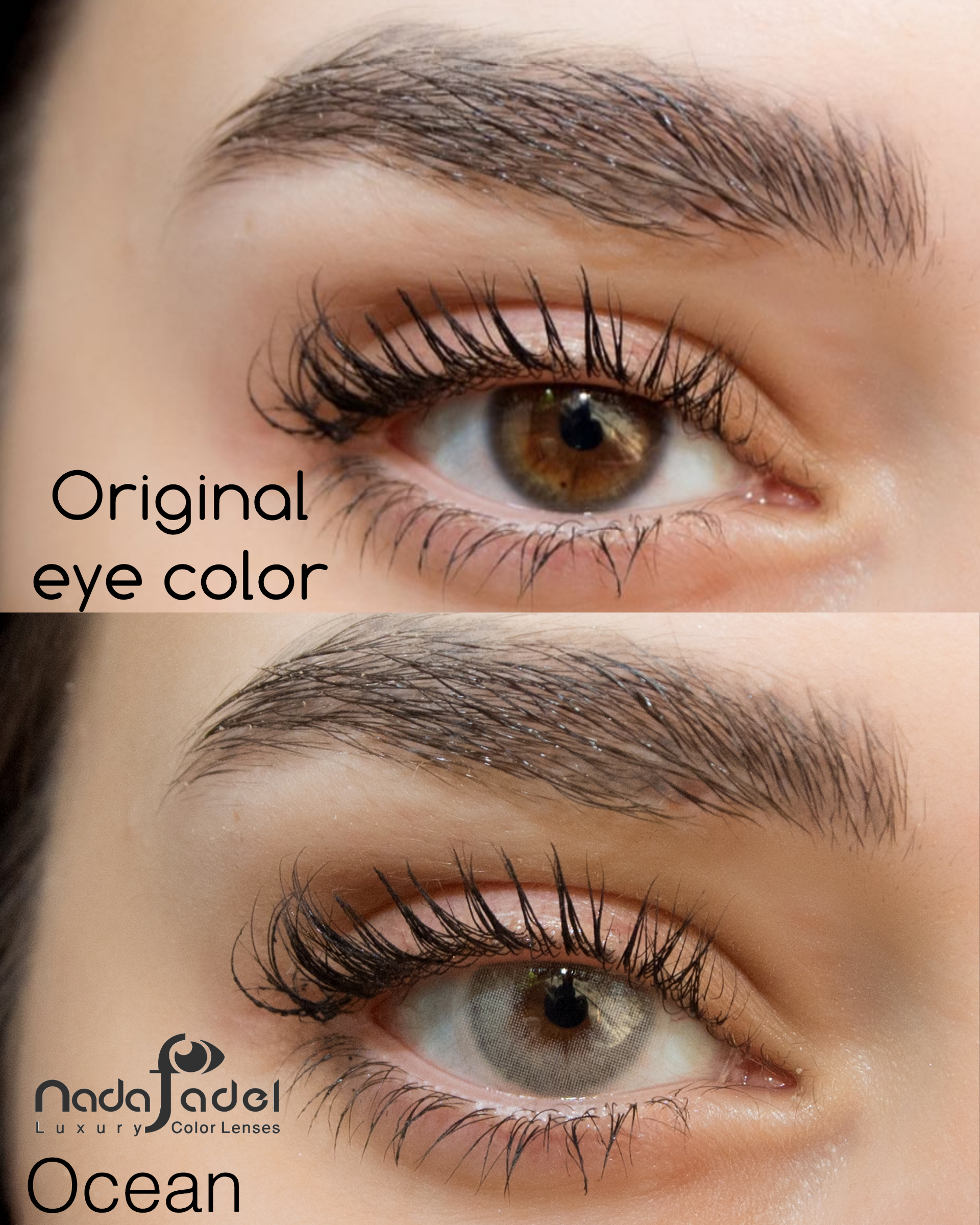 Nada Fedal lenses -Nada Ocean lens - Contact lenses