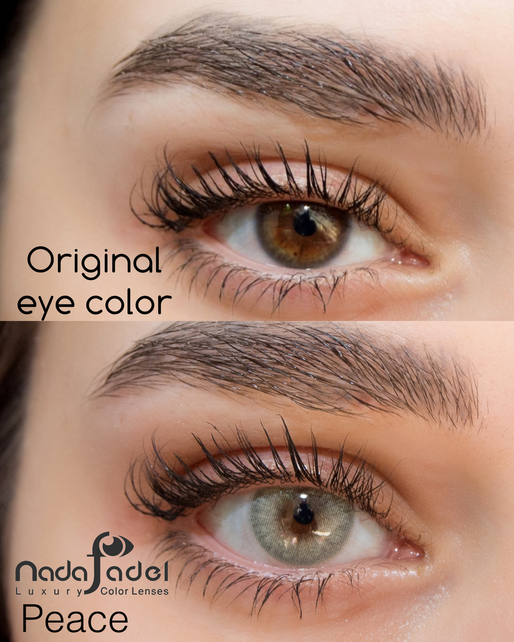 Nada Fedal lenses -Nada Peace lens - original aye color