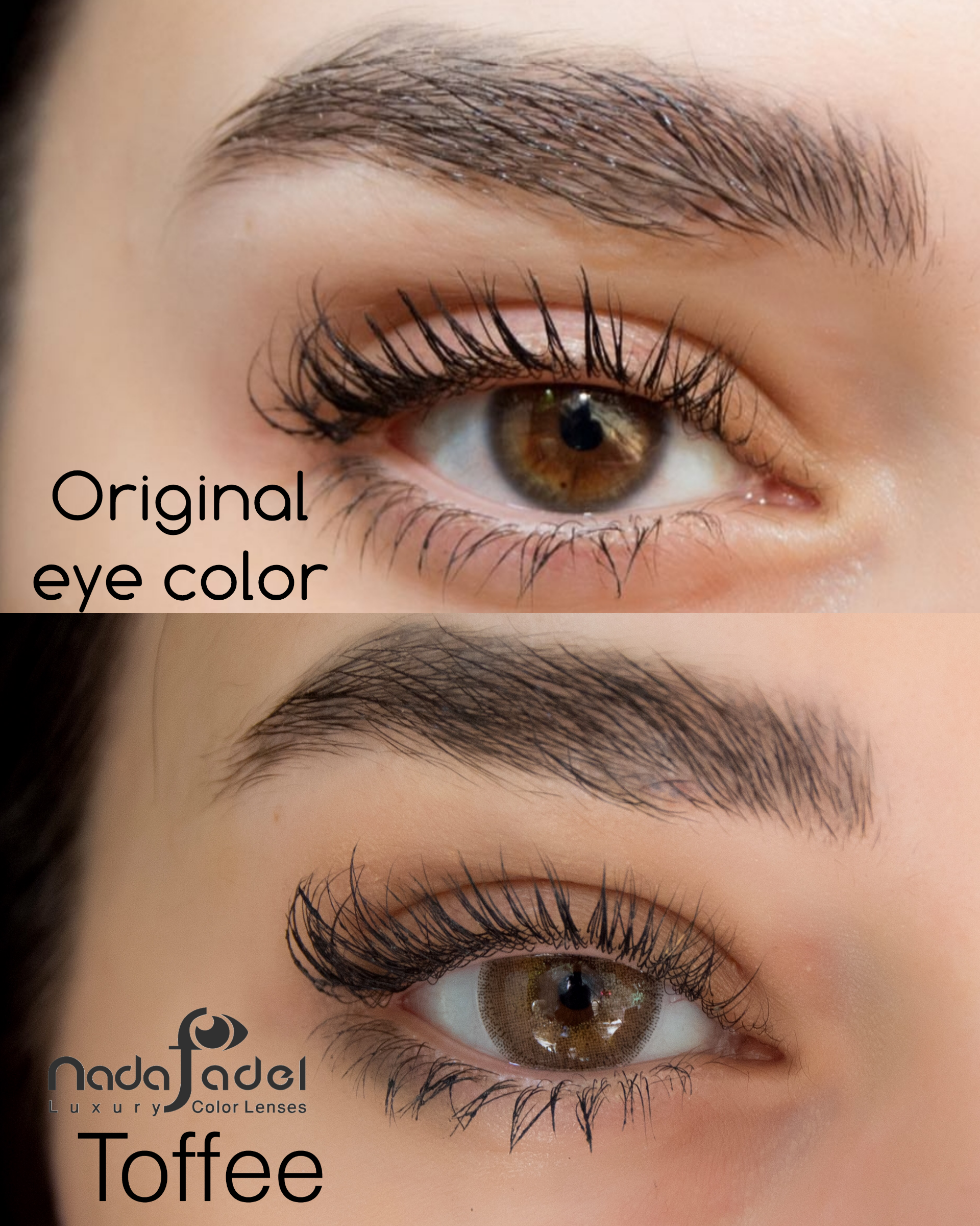Nada Fedal lenses -Nada Toffee lens - Online contact lenses
