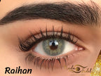 Nada Fedal lenses -Nada Raihan lens - Green with our border